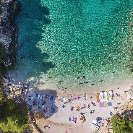 Διαμέρισμα Awesome In With Wifi Πούλα